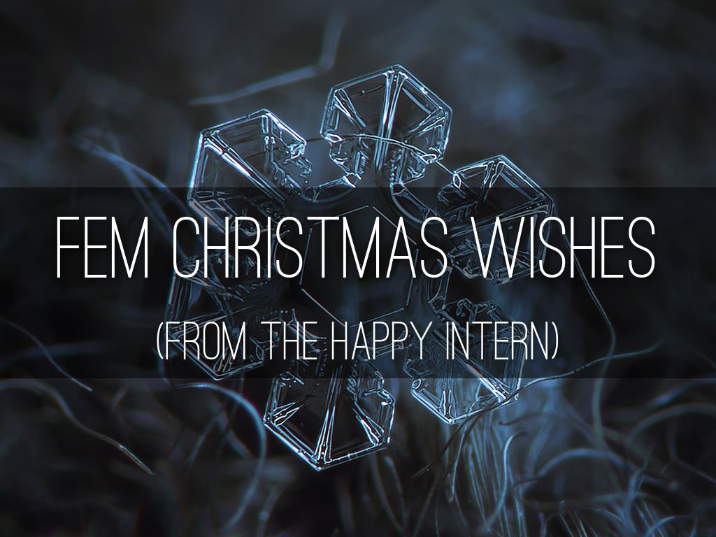FEM Christmas Wishes