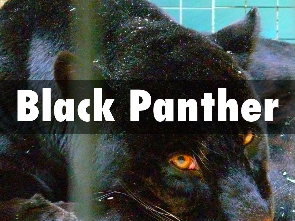 Black Panther