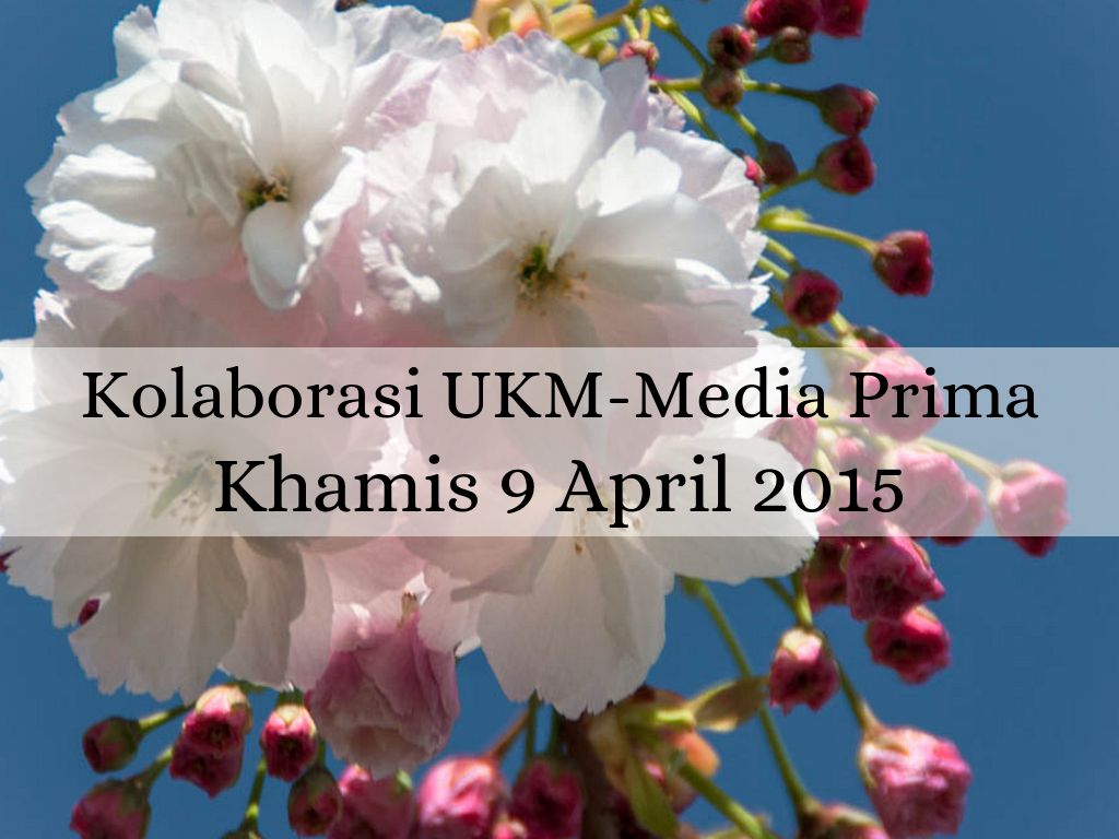 Kolaborasi UKM-Media Prima