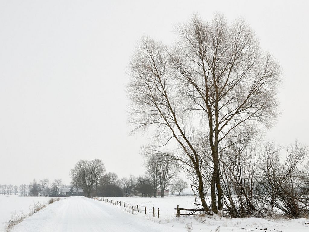 Longitudinal Integrated Clerkships