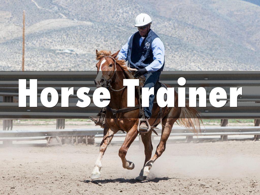 Horse Trainer
