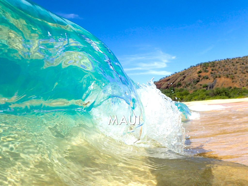 🌊Waves🌊