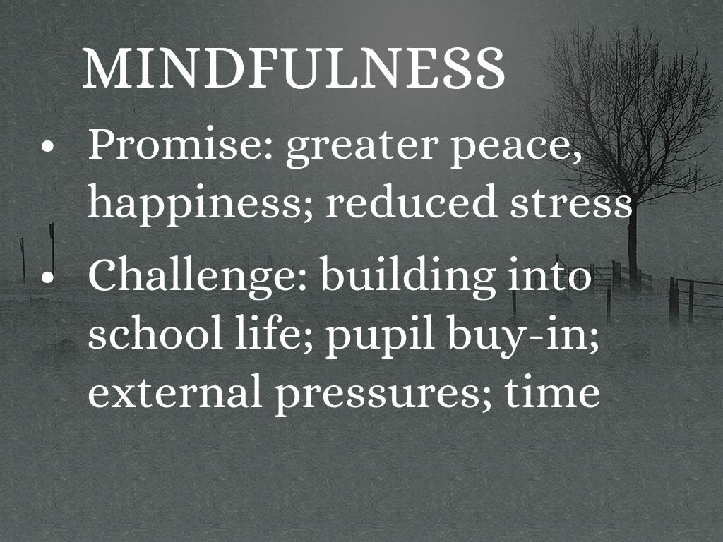 Copy of Copy of January 2016 INSET intro by John Davies