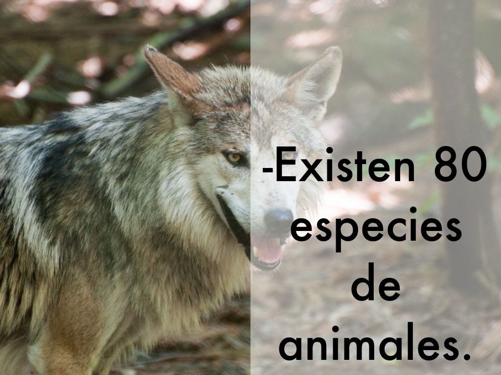 Praderas by albamonjefernandez