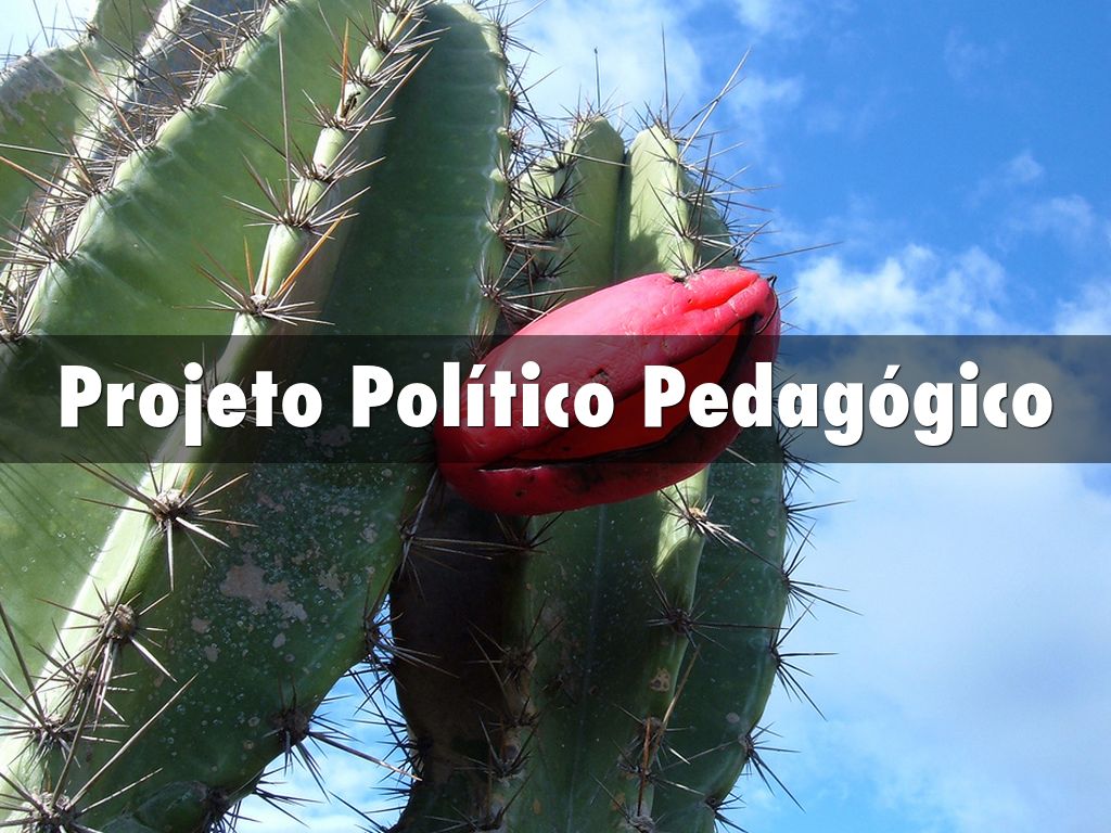 Projeto Político Pedagógico