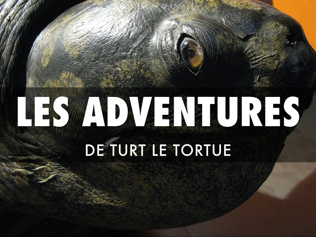 Les Aventures de Turt le Tortue