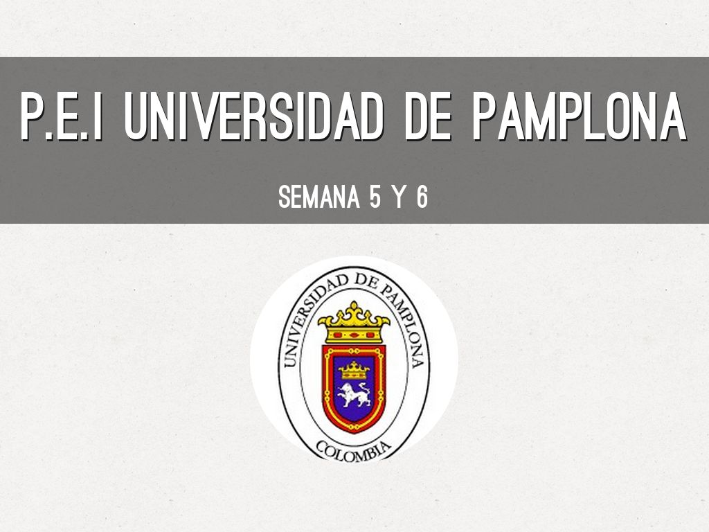 proyecto Educativo Institucional