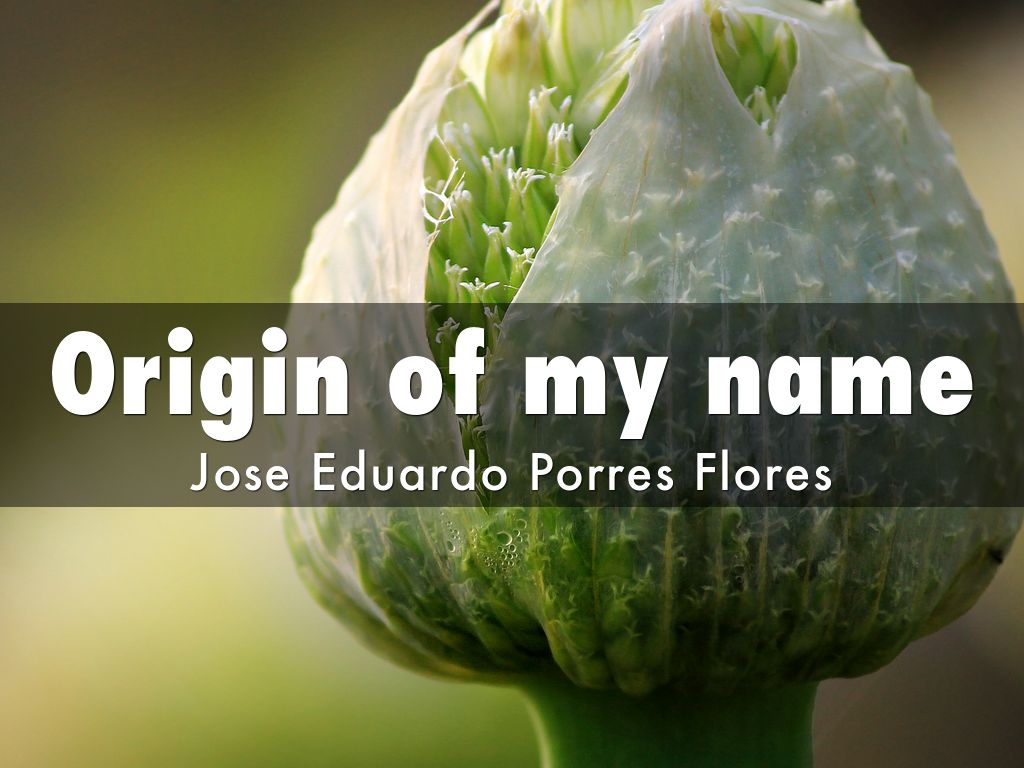 Origin of my name
