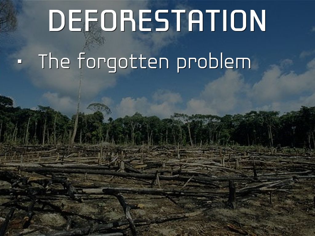 Deforestation