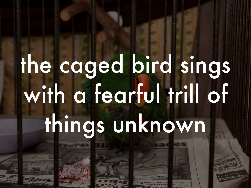 I know why the caged bird sings by nayelianguiano