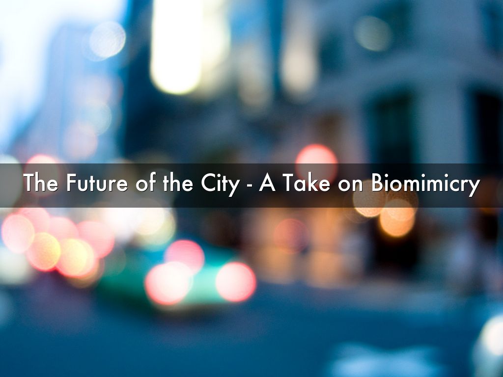The Future of the City - A Take on Biomimicry