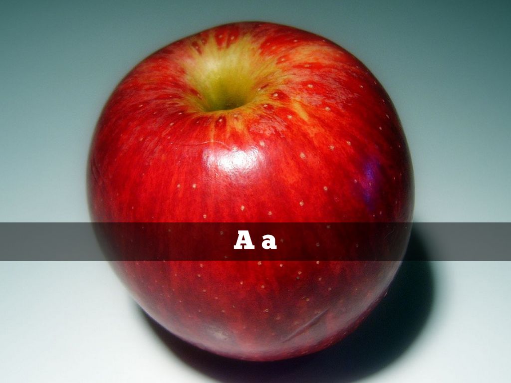 Alphabet With Capital & Lowercase