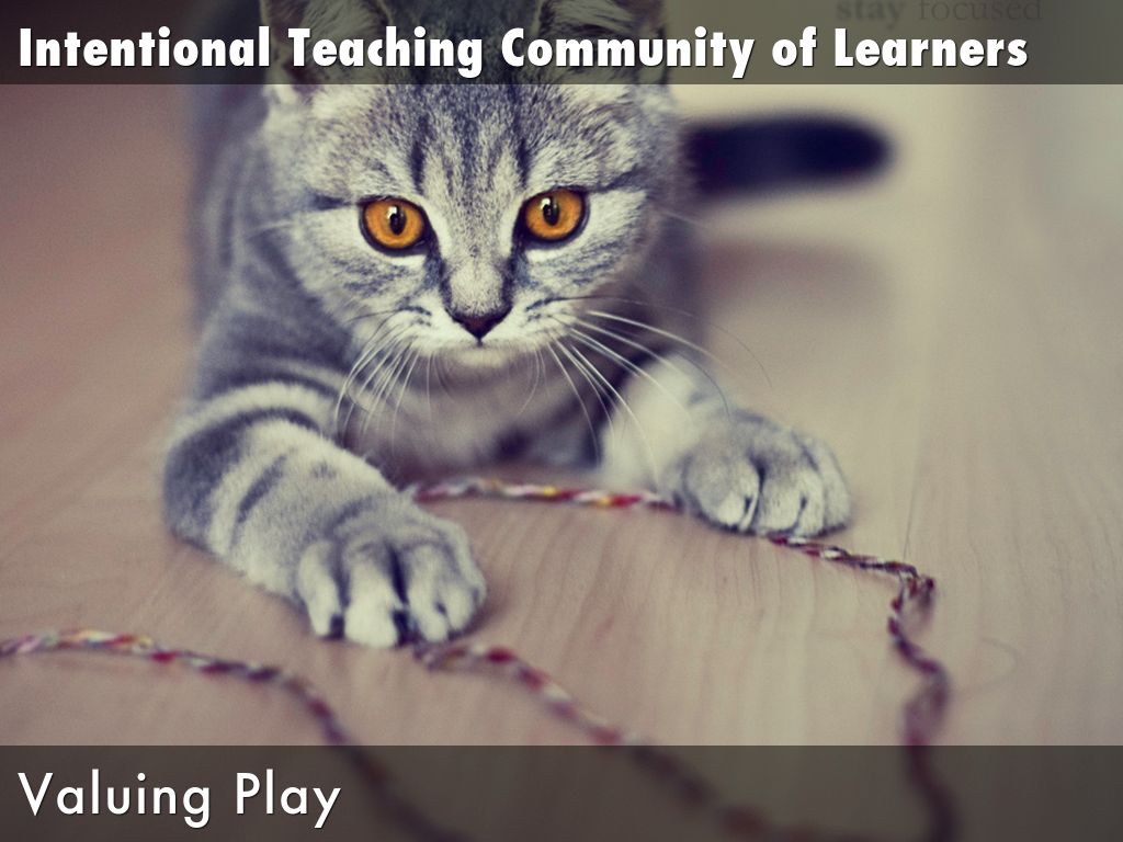 Intentional Teaching Community of Learners