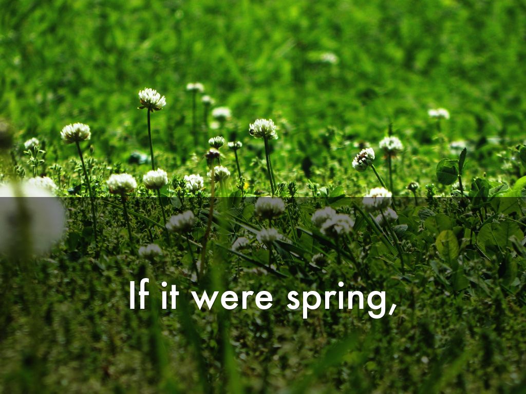 If it were Spring