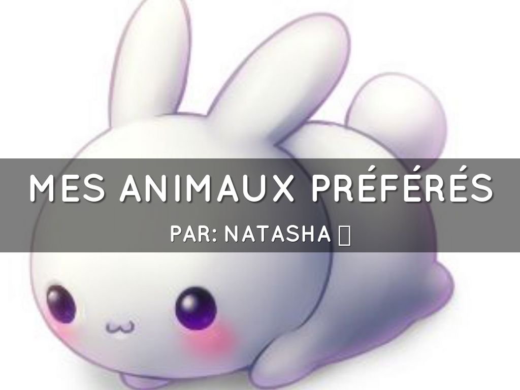 Mes Animaux Préférés 