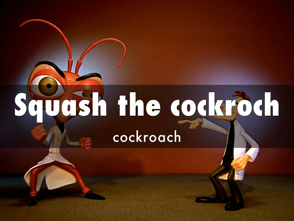 Squash the cockroch