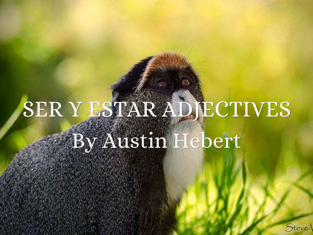 Chapter 3 Spanish Thing