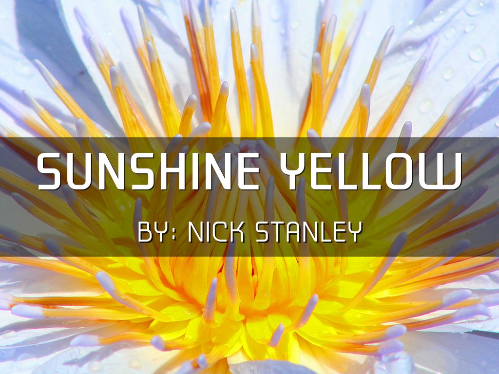 Sunshine Yellow