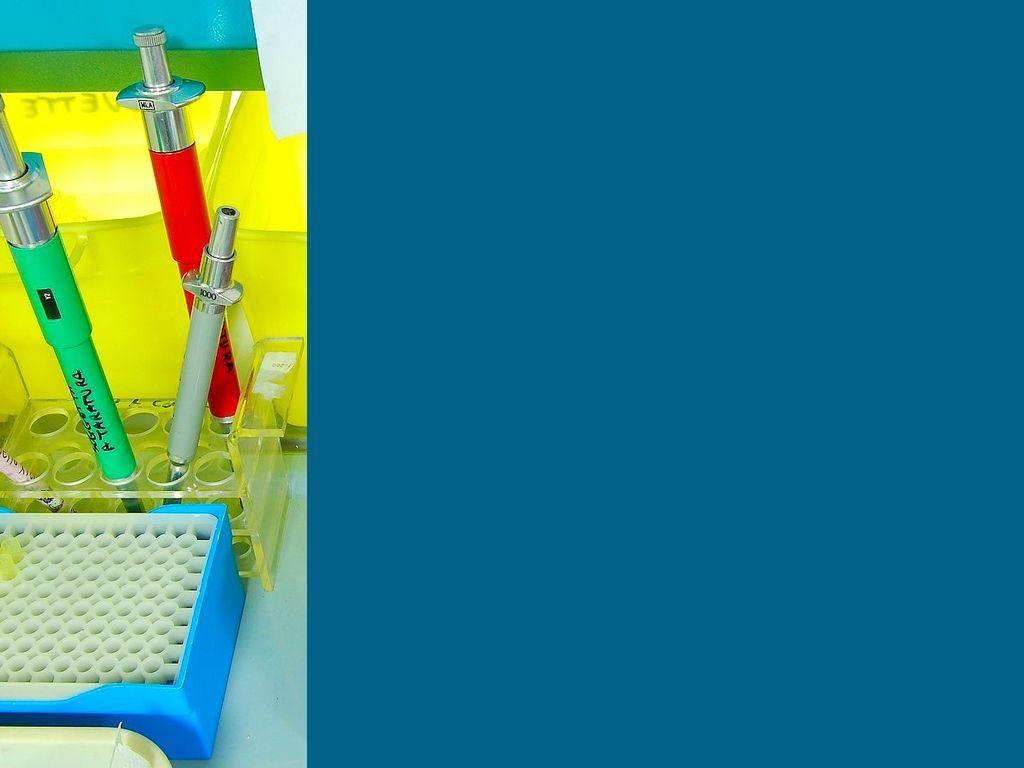 Kopie von The Future of Testing