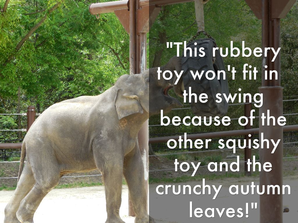 "This rubbery toy won't fit in   the swing because of the other squishy toy and the crunchy autumn leaves!"