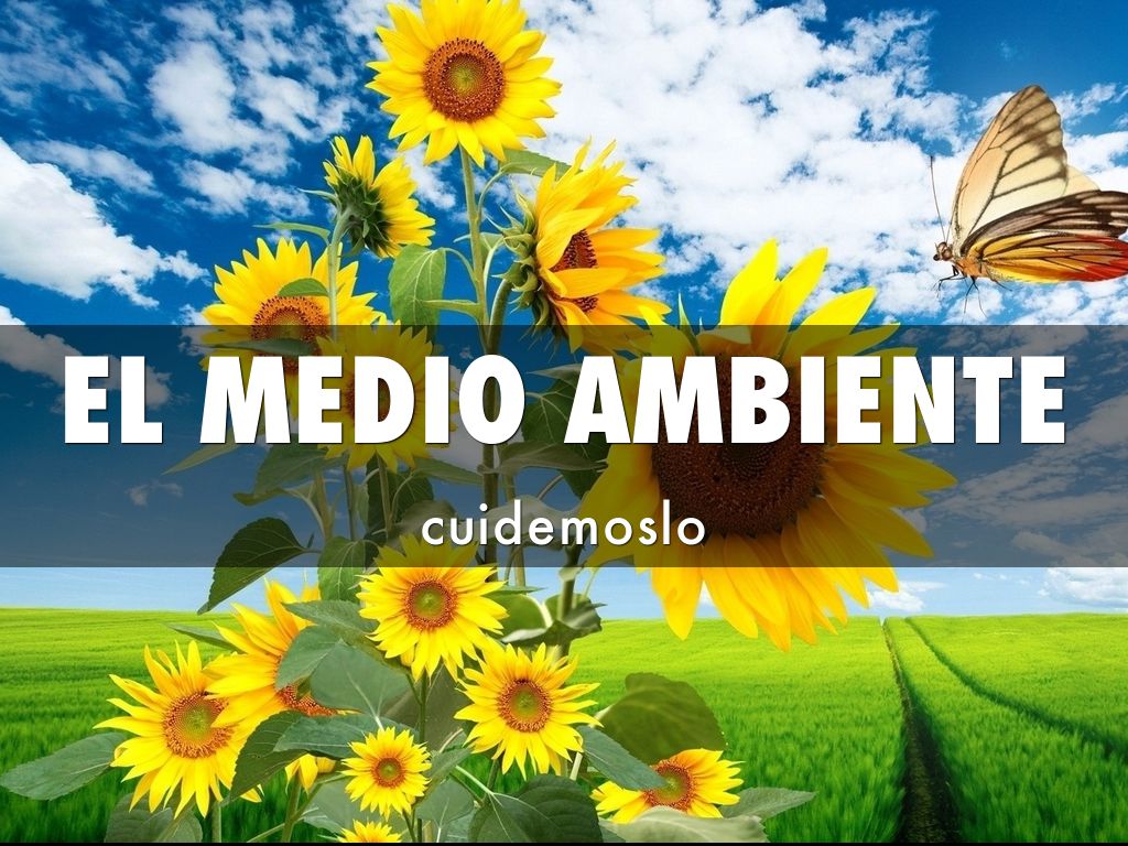 EL MEDIO AMBIENTE