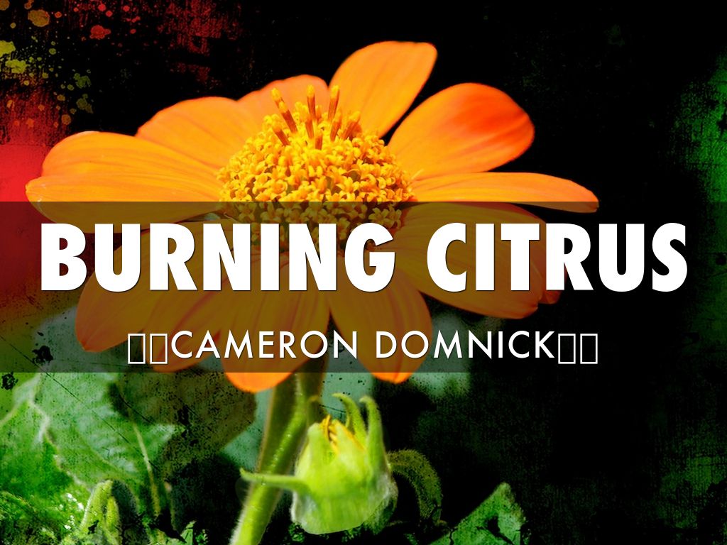 Burning Citrus 