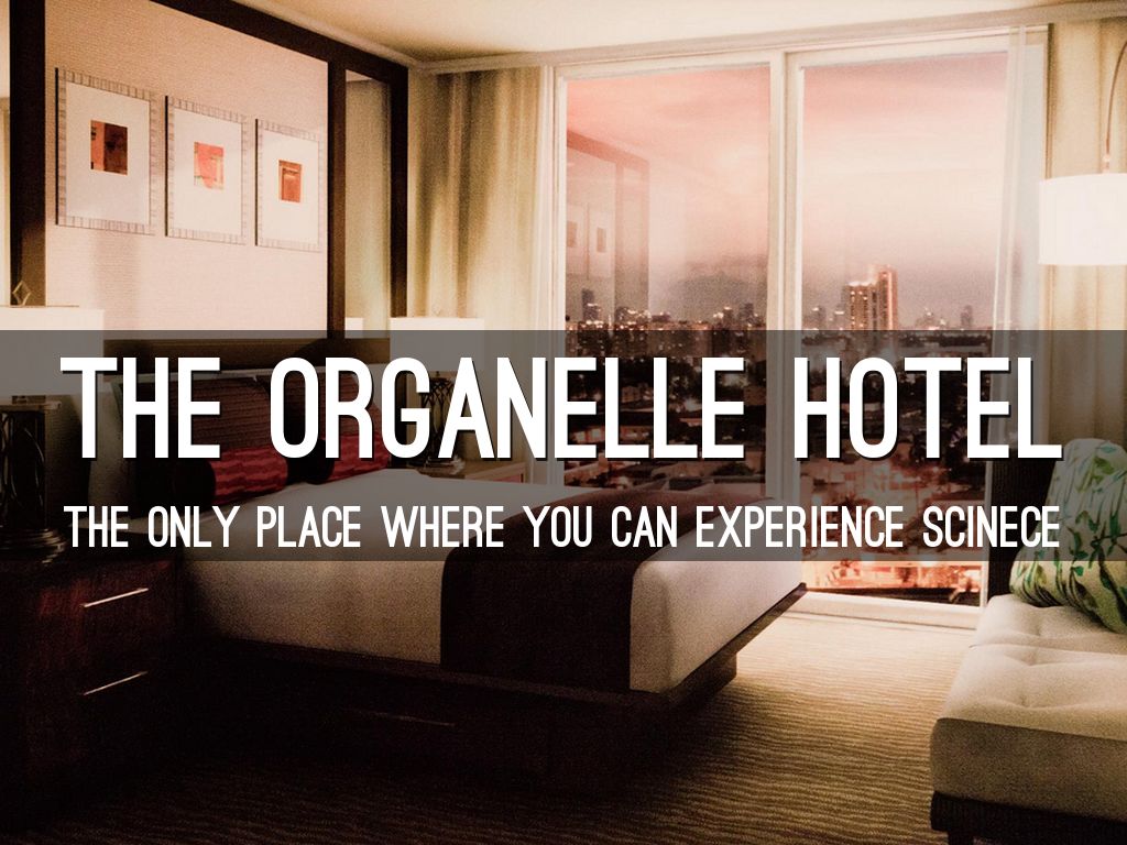 The Organelle Hotel