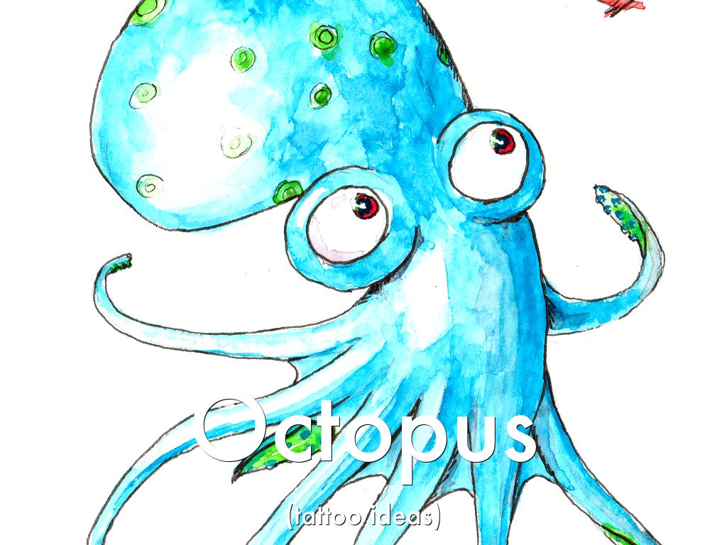 Octopus