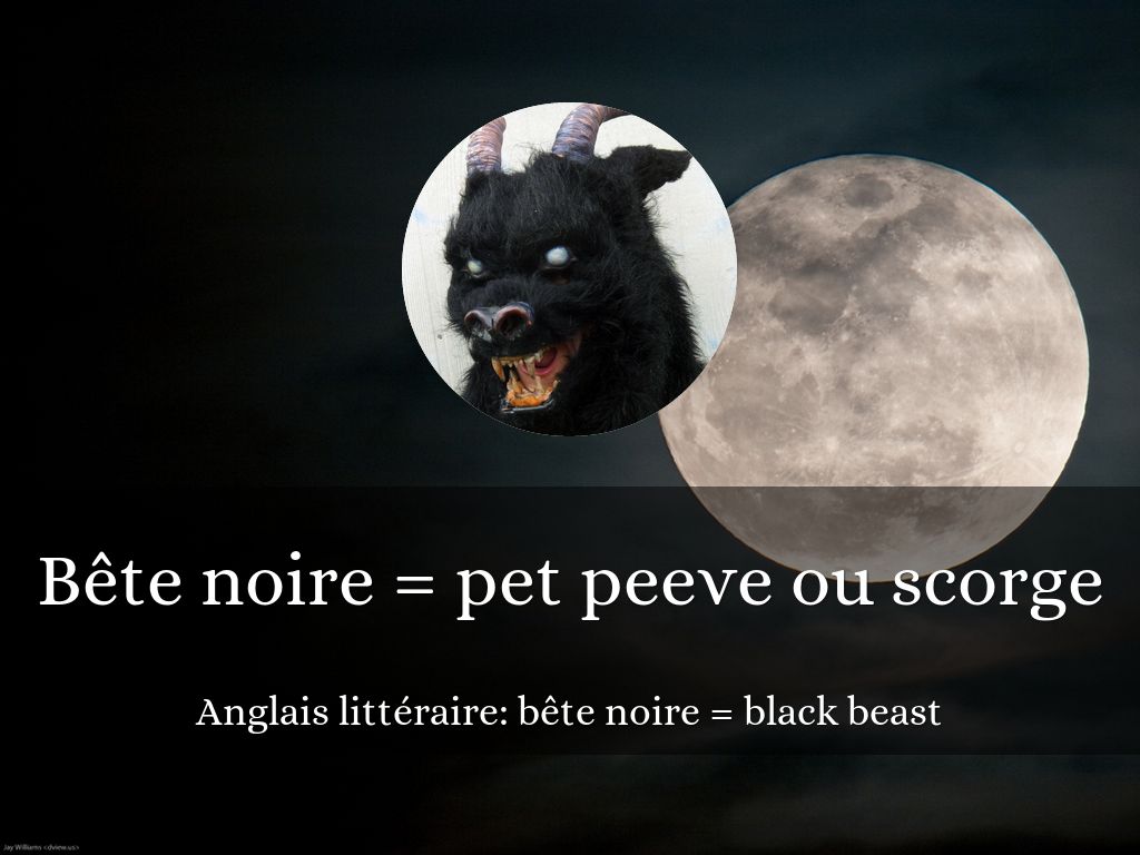 Bête Noire by babyc_clunis