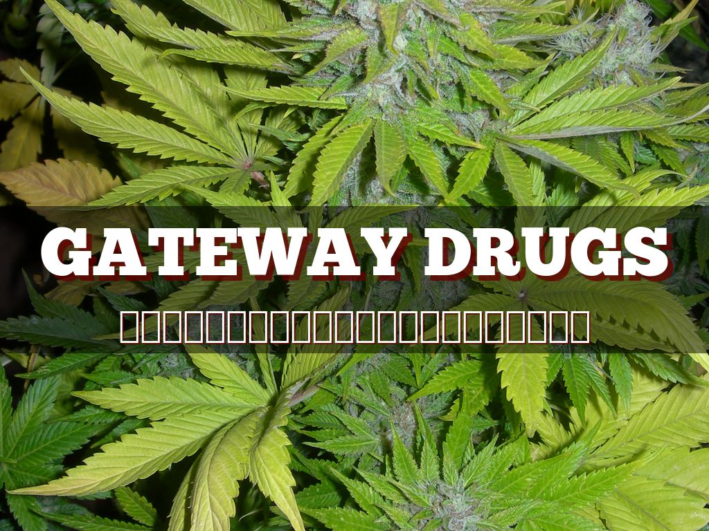 Gateway Drugs