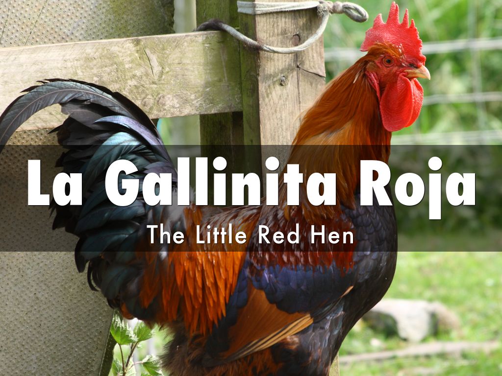 La Gallinita Roja by 16harm