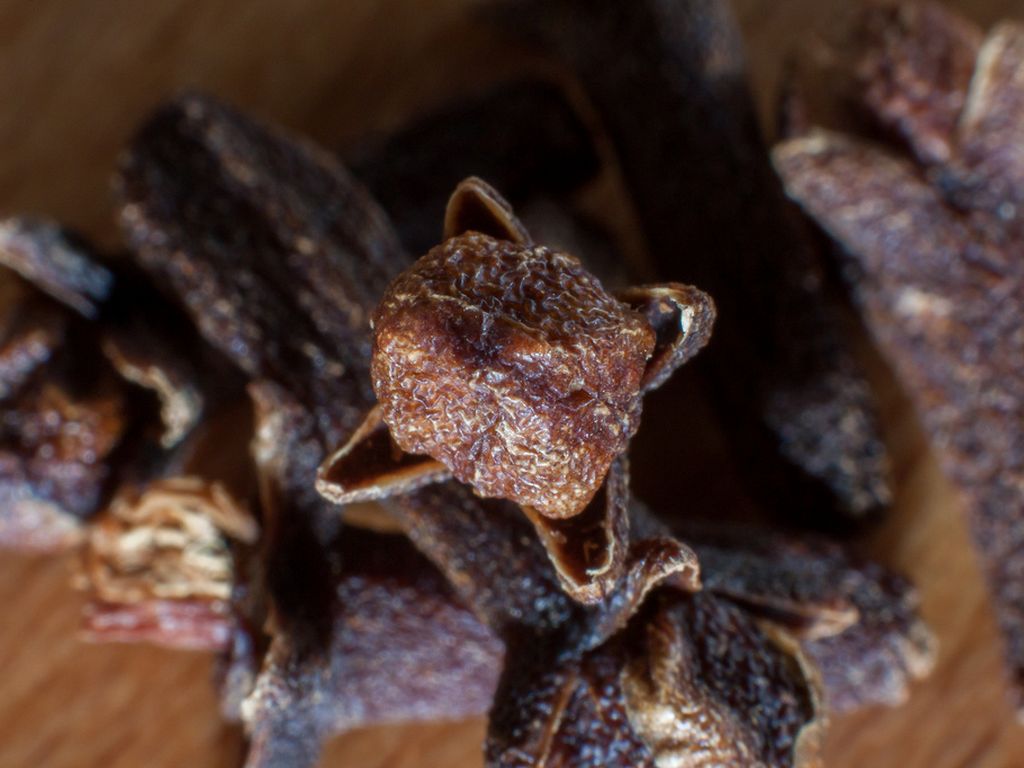 Warrior Herbs by Asia Amanzi Gilchriest