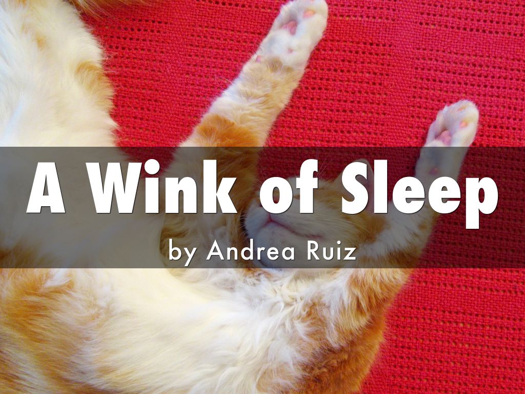 A Wink of Sleep