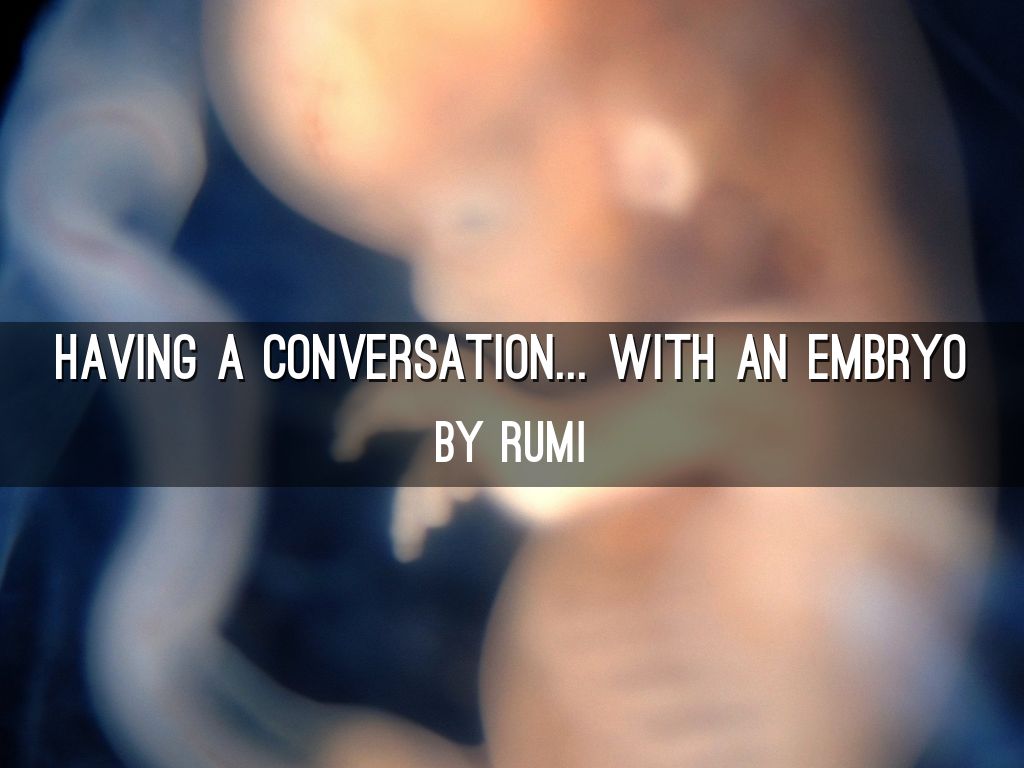 Having a Conversation... with an embryo