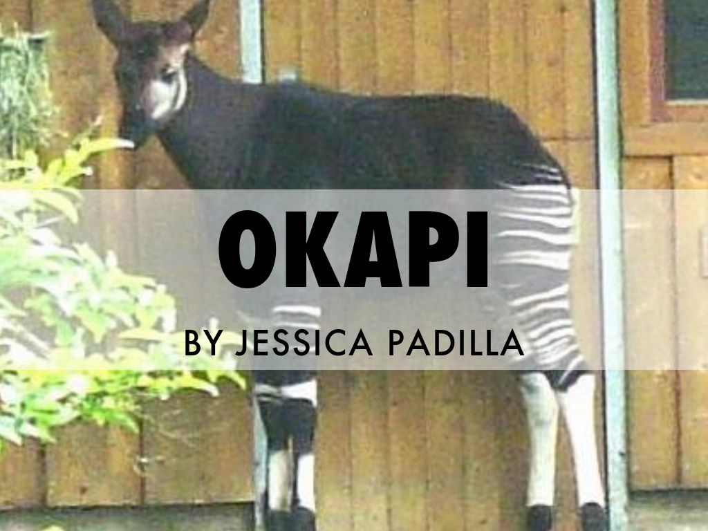 OKAPI