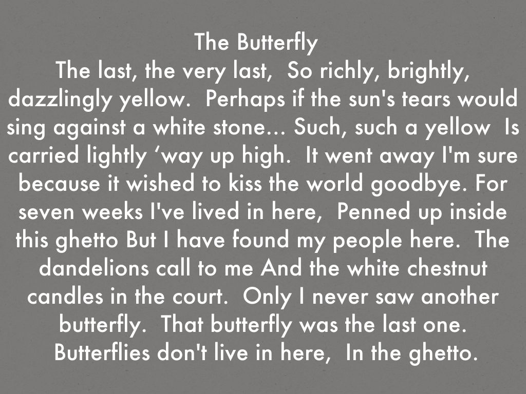 Literature of the Holocaust by Jaclyn Nielsen