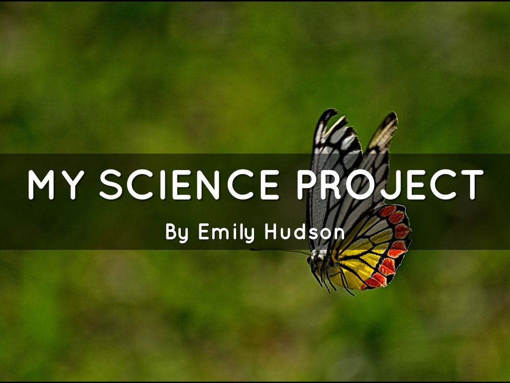 My Science Project 