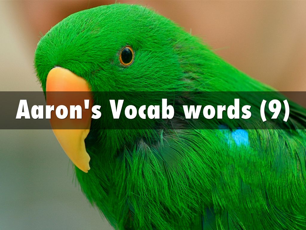 Aaron's Vocab words (9)