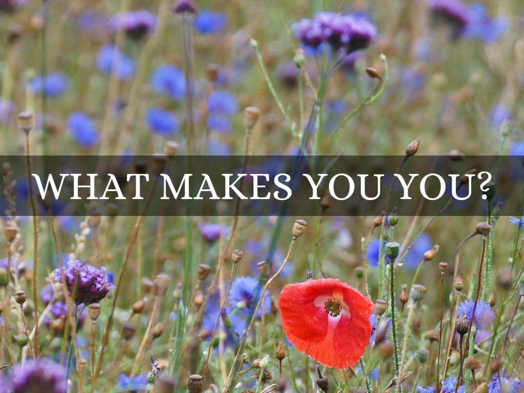 What Makes You You?