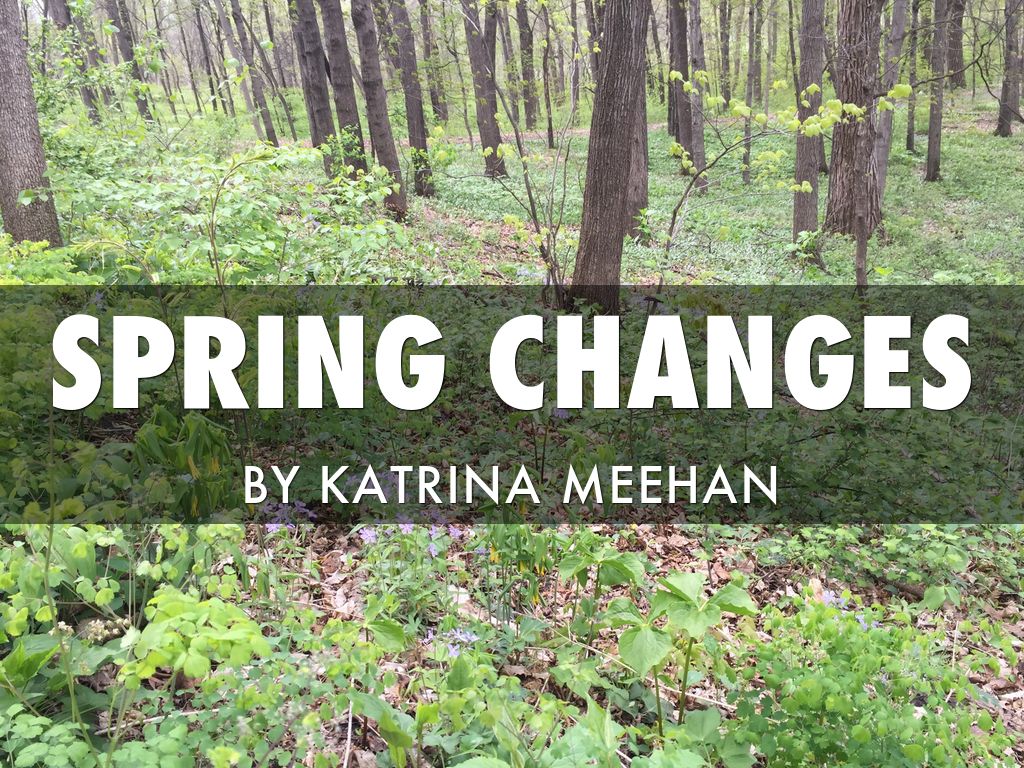 Spring Changes
