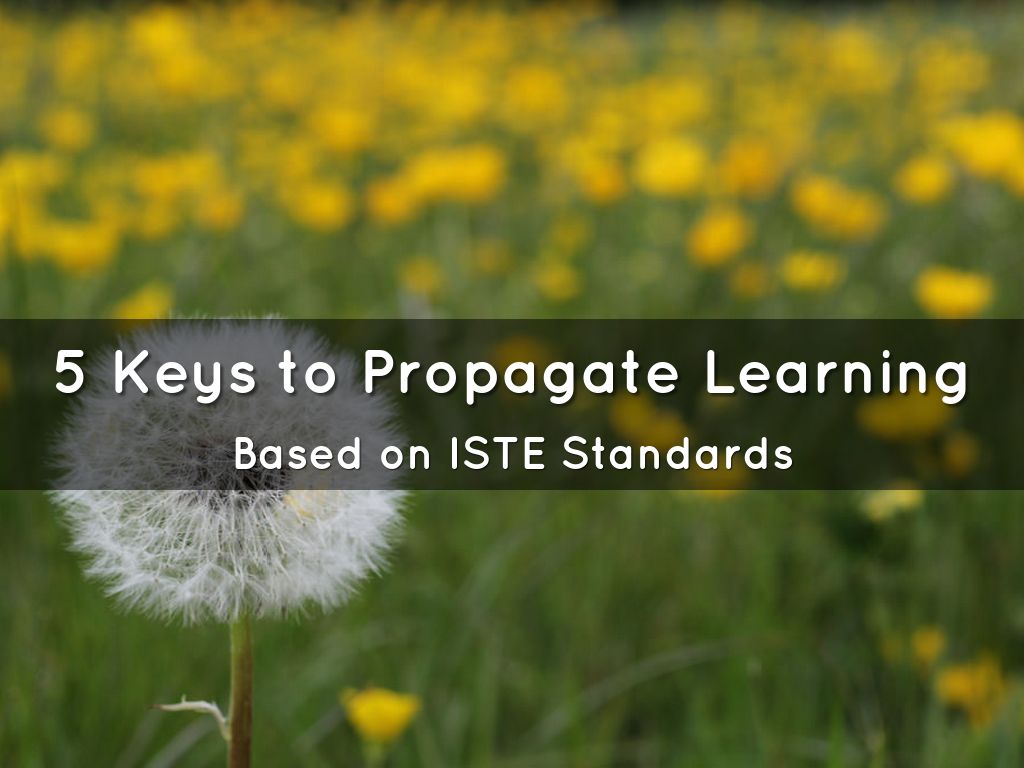 Propagate Learning 5 Keys to Propagate Learning by Sandy McVey