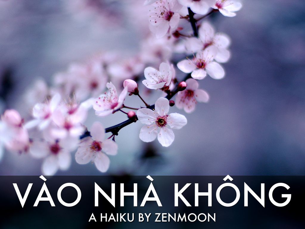 Vào Nhà Không-Diana Zen, ZenMoon