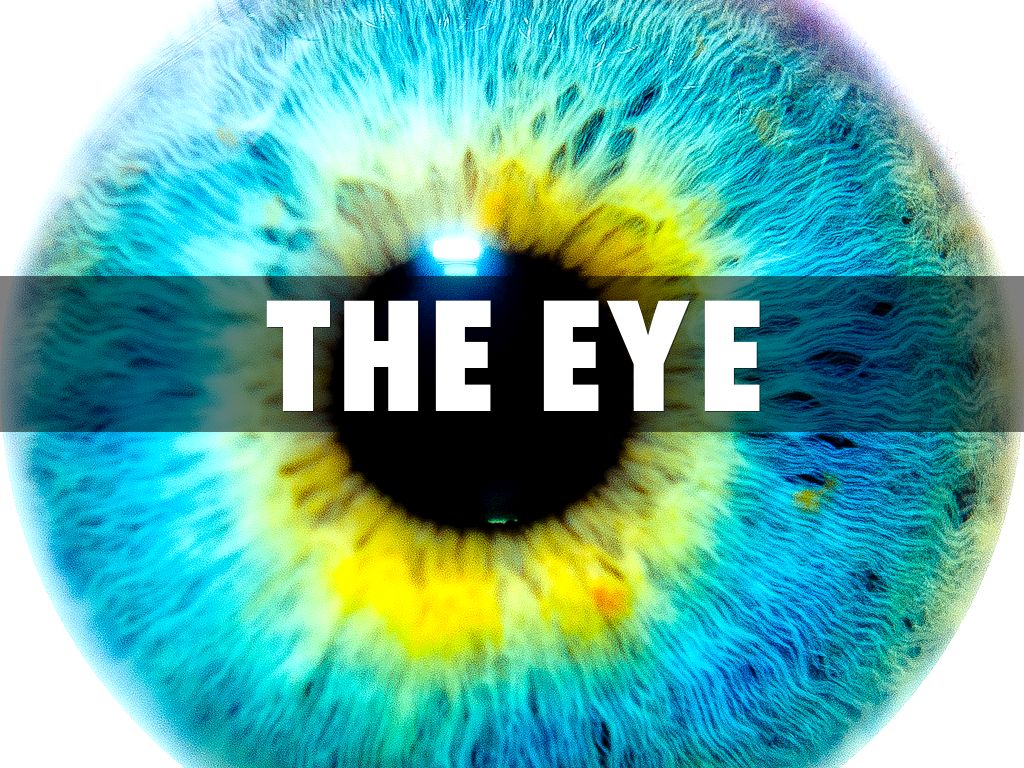 The Eye