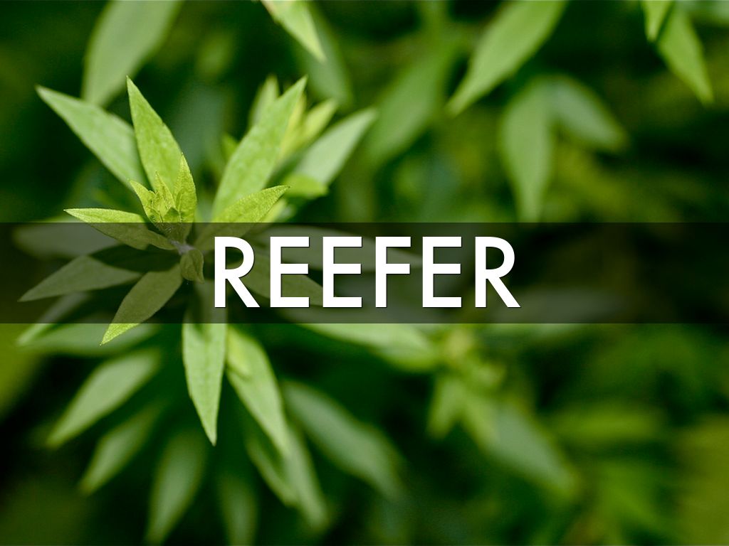 Reefer