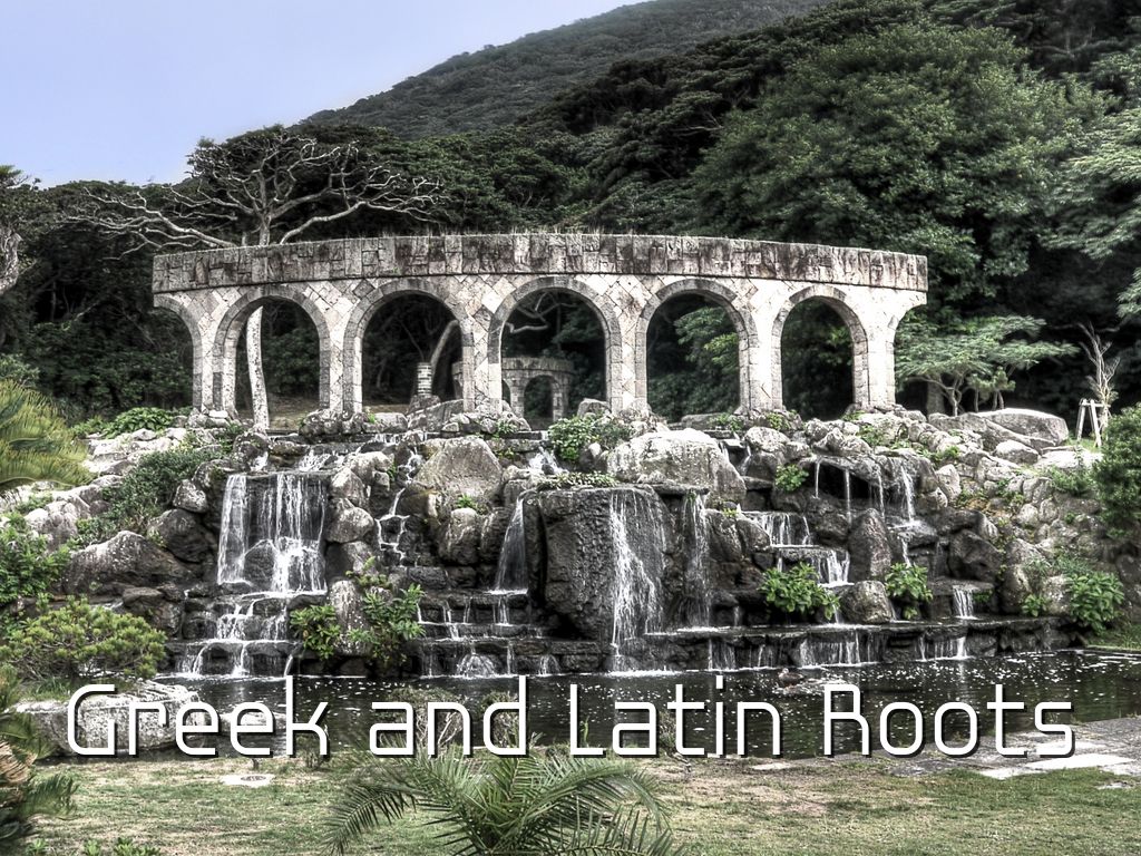 Greek And Latin Roots