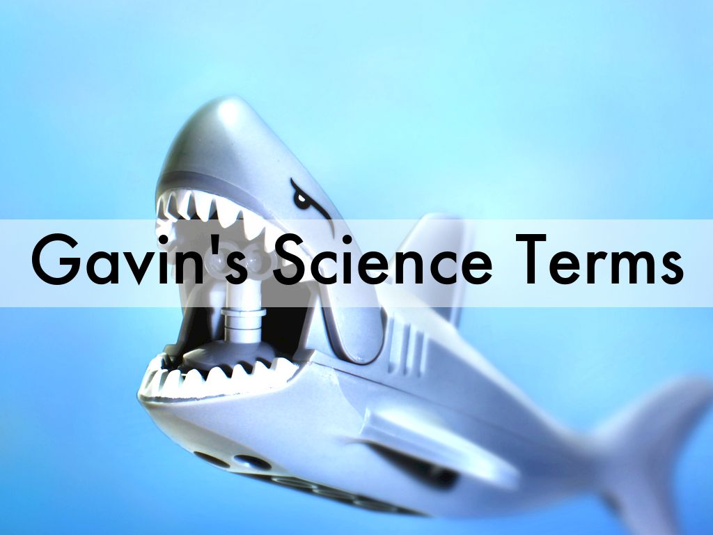 Gavin Science Terms
