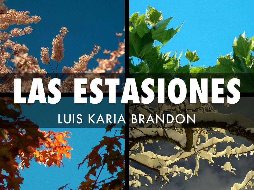 Las  Estsiones  Por Luís Y  Karla Barandon