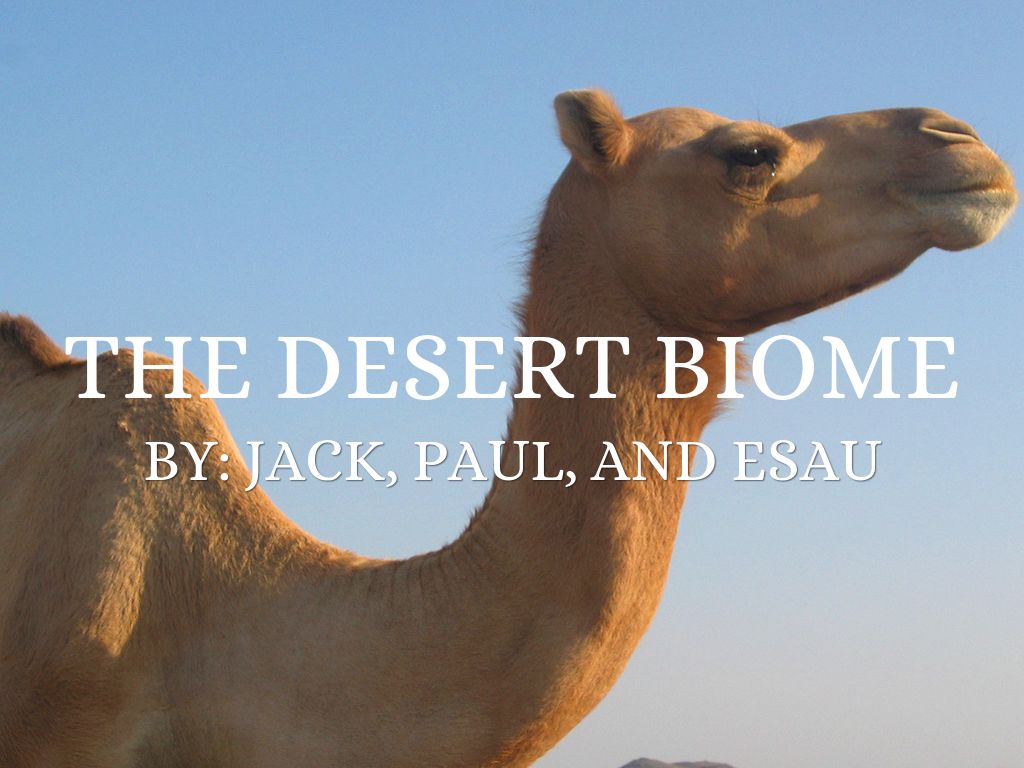 The Desert Biome
