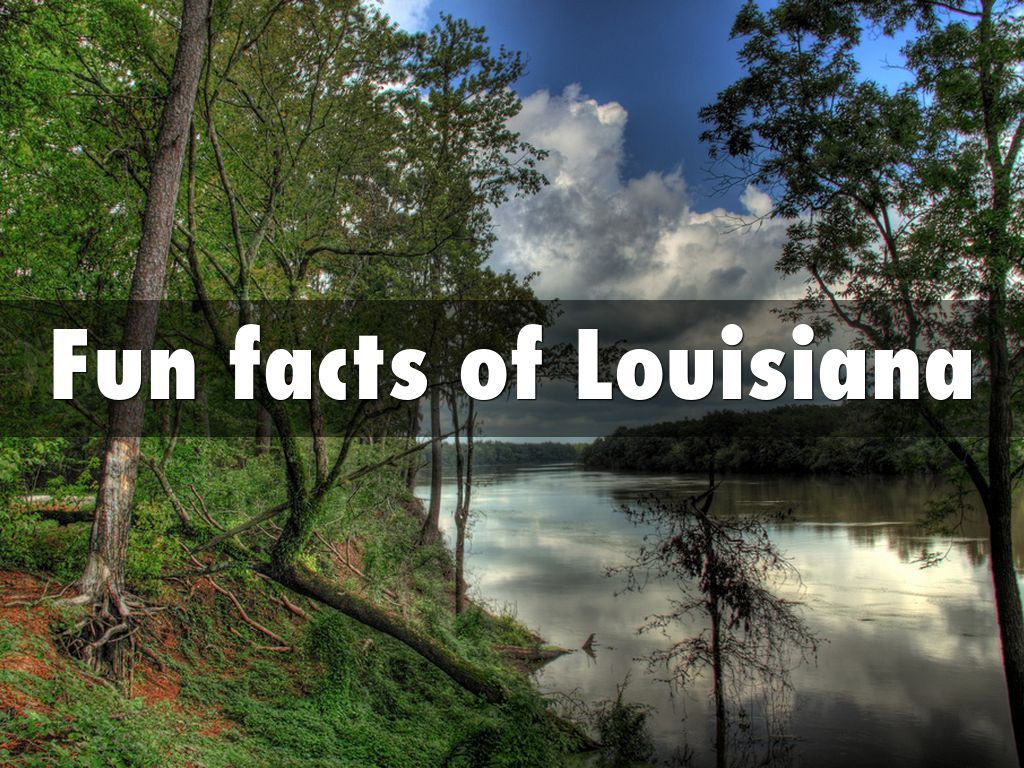 Fun facts of Louisiana by tm1700