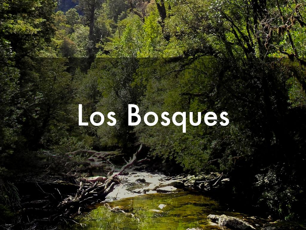 Los Bosques